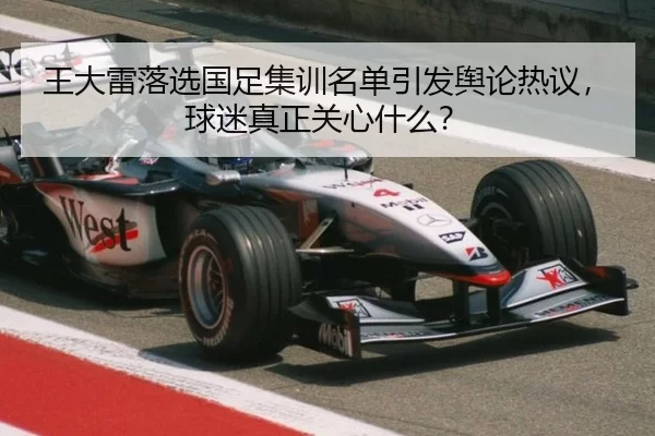 wang-da-lei-luo-xuan-guo-zu-ji-xun-ming-dan-yin-fa-yu-lun-re-yi-qiu-mi-zhen-zheng-guan-xin-shen-me-2-390.jpg